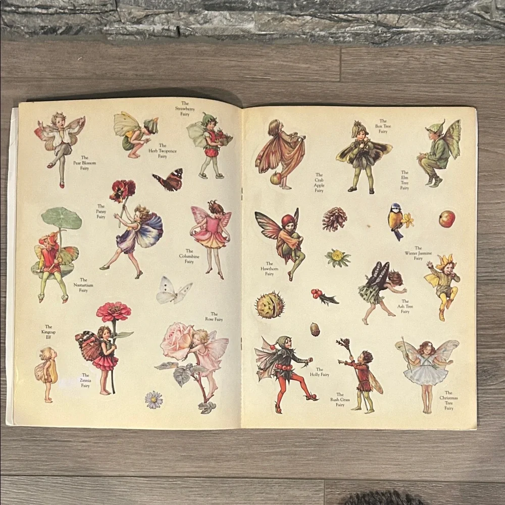 The Flower Fairies‎ Sticker Activity Book